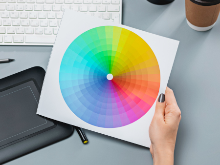 paleta_kolorystyczna